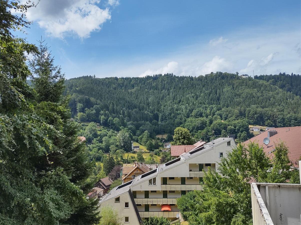 Ein-Zimmer Apartment Mit Aussicht Bad Wildbad Exteriör bild
